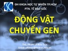 Bài giảng Động vật chuyển gen