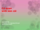 Bài giảng Cơ quan sinh sản cái