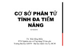 Bài giảng Cơ sở phân tử tính đa tiềm năng