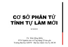 Bài giảng Cơ sở phân tử tính tự làm mới