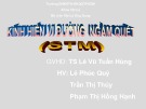 Bài thuyết trình Kính hiển vi đường ngầm quét (STM)