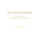 Bài thuyết trình Đầu dò Langmuir