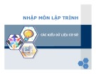 Bài giảng Nhập môn lập trình: Các kiểu dữ liệu cơ sở  - Nguyễn Đình Hưng