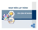 Bài giảng Nhập môn lập trình: Câu lệnh rẽ nhánh  - Nguyễn Đình Hưng