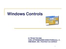 Bài giảng Lập trình Windows - Windows Controls