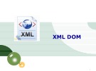 Bài giảng Lập trình hướng đối tượng - XML DOM