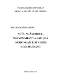 Báo cáo chuyên đề: Nước ngầm ĐBSCL, nguyên nhân và hậu quả nước ngầm bị ô nhiễm kim loại nặng