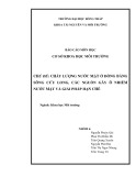 Báo cáo môn học Cơ sở khoa học môi trường: Chất lượng nước mặt ở đồng bằng Sông Cửu Long, các nguồn gây ô nhiễm nước mặt và giải pháp hạn chế