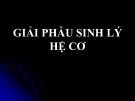 Giải phẫu sinh lý hệ cơ