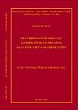 Luận văn Thạc sĩ Quản trị nhân lực: Phát triển nguồn nhân lực tại khối tín dụng tiêu dùng Ngân hàng Việt Nam thịnh vượng