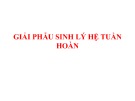 Giải phẫu sinh lý hệ tuần hoàn