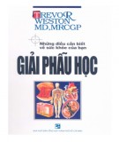  giải phẫu học: phần 2