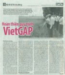 Hoàn thiện quy trình VietGAP