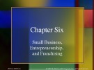 Lecture Business: A changing world (4/e): Chapter 6 - O.C. Ferrell, Geoffrey Hirt