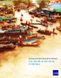 Báo cáo tóm tắt Chương trình Môi trường đô thị Việt Nam: Các vấn đề vệ sinh đô thị ở Việt Nam