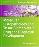  molecular histopathology and tissue biomarkers in drug and diagnostic development: part 1