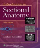  introduction to sectional anatomy (3rd edition): part 2