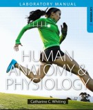  human anatomy & physiology (1st edition): part 2