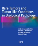  rare tumors and tumor-like conditions in urological pathology: part 1