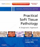  practical soft tissue pathology - a diagnostic approach: part 1