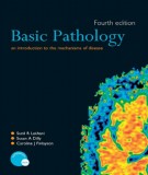  basic pathology (4th edition): part 1