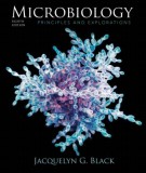  microbiology principles and explorations (8th edition): part 1