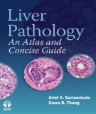  liver pathology - an atlas and concise guide: part 1
