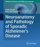  neuroanatomy and pathology of sporadic alzheimer’s disease: part 1