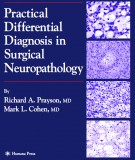  practical differential diagnosis in surgical neuropathology: part 1