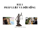 Bài giảng bài 1: Pháp luận Việt Nam