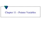 Lecture Programming in C++ - Chapter 11: Pointer variables