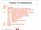 Lecture E-commerce and e-business for managers - Chapter 12: Globalization