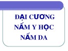 Bài giảng Đại cương nấm y học nấm da