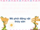 Bài thuyết trình nhóm Mô phôi động vật thủy sản: Quá trình phát triển phôi và các giai đoạn ấu trùng của Cua biển