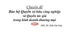 Bài giảng Chuyên đề: Bảo hộ Quyền sở hữu công nghiệp và Quyền tác giả trong kinh doanh thương mại