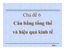 Bài giảng Chủ đề 6: Cân bằng tổng thể và hiệu quả kinh tế