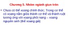 Bài giảng Động vật học - Chương 5: Nhóm ngành giun tròn