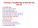 Bài giảng Sinh học đại cương - Chương 3: Sự phân bào và sinh sản của sinh vật