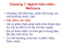 Bài giảng Động vật học - Chương 7: Ngành thân mềm - Mollusca