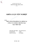 Khóa luận tốt nghiệp: Phân tích tình hình tài chính tại Công ty Cổ phần Thương mại Mặt Trời Việt