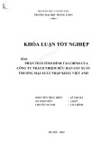 Khóa luận tốt nghiệp: Phân tích tình hình tài chính của Công ty Trách nhiệm hữu hạn Sản xuất Thương mại Xuất nhập khẩu Việt Anh