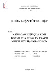 Khóa luận tốt nghiệp: Nâng cao hiệu quả kinh doanh của Công ty TNHH Giang Sơn