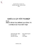 Khóa luận tốt nghiệp: Phân tích tài chính tại Công ty Cổ phần Kỷ nguyên Việt