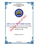 Khóa luận tốt nghiệp: Đánh giá hiệu quả sản xuất cao su tiểu điền trên địa bàn huyện Triệu Phong