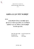 Khóa luận tốt nghiệp: Giải pháp nâng cao hiệu quả quản lý vốn tại Công ty Cổ phần Giống vật tư Nông lâm nghiệp Tuyên Quang