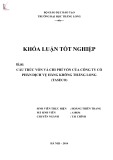 Khóa luận tốt nghiệp: Cấu trúc vốn và chi phí vốn của Công ty Cổ phần Dịch vụ hàng không Thăng Long (TASECO)