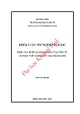 Khóa luận tốt nghiệp Quản trị kinh doanh: Nâng cao hiệu quả bán hàng của công ty cổ phần viễn thông FPT chi nhánh Huế