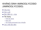 Kháng sinh Aminoglycosid (Aminoglycosid)