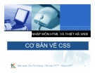 Bài giảng Nhập môn HTML và thiết kế Web: Bài 6 - Cơ bản về CSS