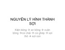 Bài giảng Nguyên lý hình thành sợi